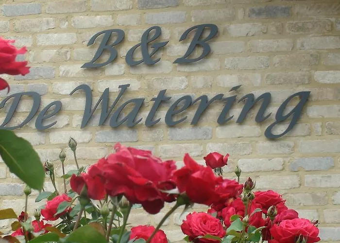 B&B De Watering